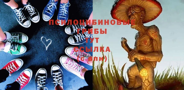 spice Алексин