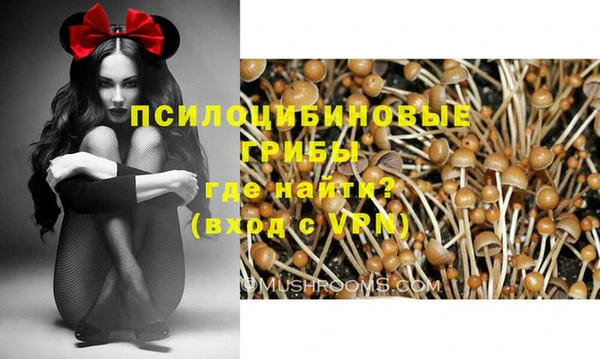 гашик Абинск