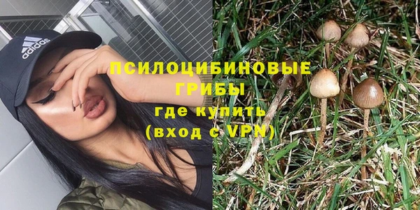 гашик Абинск
