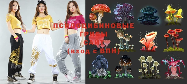 гашик Абинск
