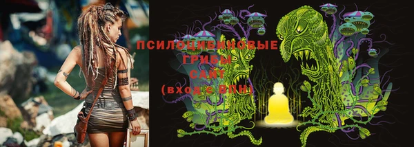 гашик Абинск